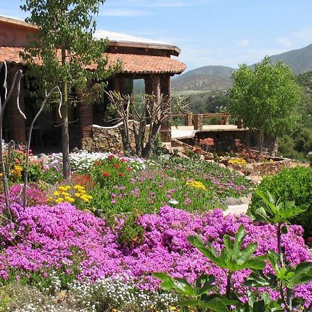 장크트 고아르스하우젠 Quinta Maria En La Ruta Del Vino B&B 외부 사진