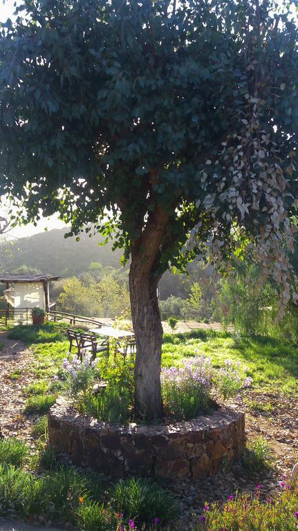 장크트 고아르스하우젠 Quinta Maria En La Ruta Del Vino B&B 외부 사진